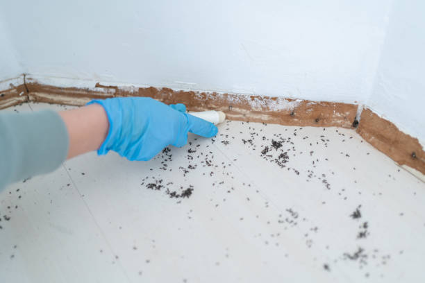 Best Pest Control for Homes  in Clinton, UT